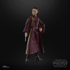 Hasbro Pulse STAR WARS The Black Series Padm?? Amidala
