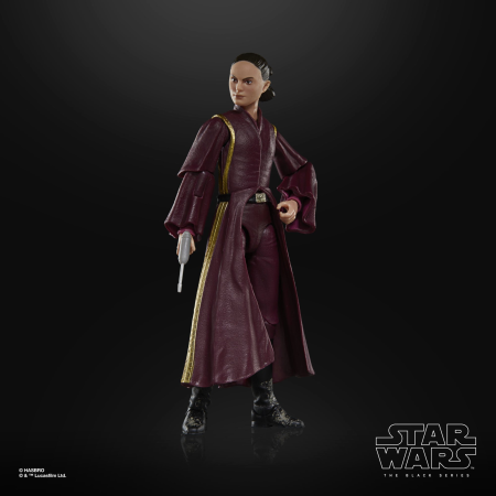 Hasbro Pulse STAR WARS The Black Series Padm?? Amidala