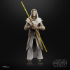 Hasbro Pulse STAR WARS The Black Series Jedi Temple Guard