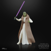 Hasbro Pulse STAR WARS The Black Series Jedi Master Vernestra Rwoh