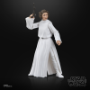 Hasbro Pulse STAR WARS The Black Series Princess Leia Organa